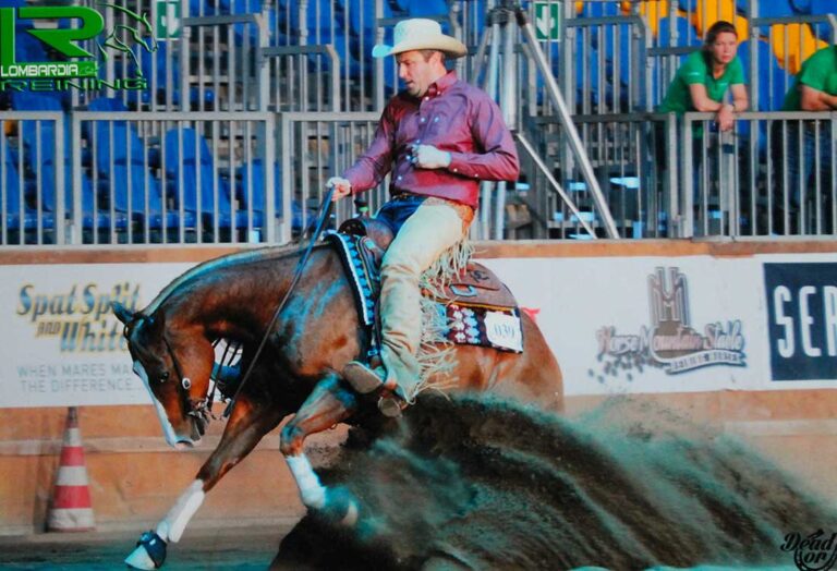 Cavaliere esegue una manovra di reining su un cavallo in un'arena.