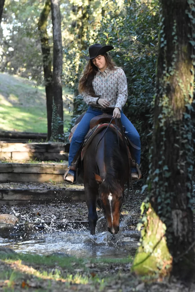 Una persona a cavallo attraversa un ruscello in un ambiente boschivo.