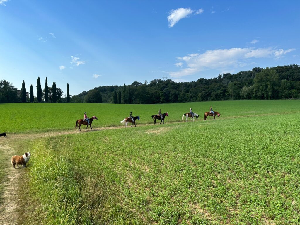 A group of people riding horses along a path in a scenic green field.