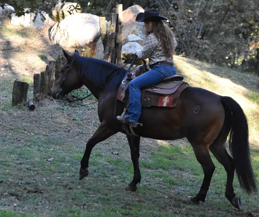 A person wearing a hat rides a brown horse on a grassy field.