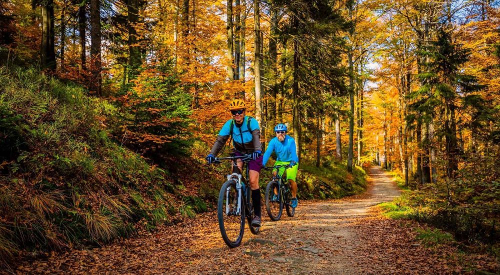 Due ciclisti pedalano su un sentiero forestale in autunno.