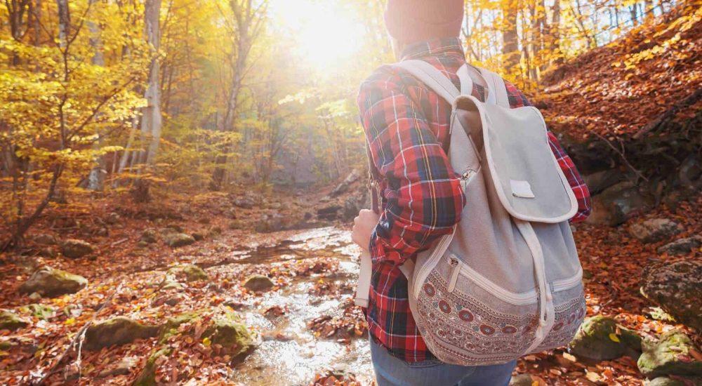 Una persona con zaino cammina in un bosco autunnale illuminato dal sole.