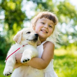 Bambina sorridente abbraccia un cucciolo di cane in un prato soleggiato.